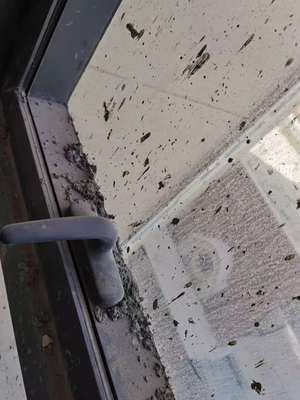 西寧專(zhuān)業(yè)保潔與維修服務(wù)指南 開(kāi)荒、精保潔、清洗及防水補(bǔ)漏