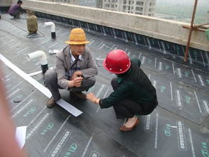 云陽專業防水補漏公司 電話與一站式維修服務